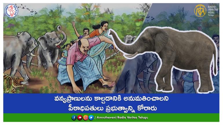 Human and wildlife 