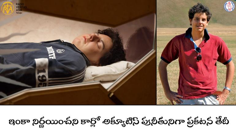 కార్లో అక్యూటిస్