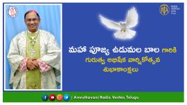 priestly ordination most rev bala