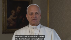 Pope Lio 